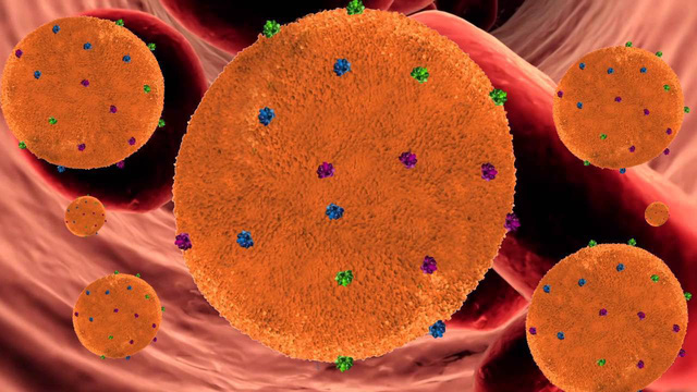 Sẽ có bọt nano giúp giảm viêm khớp? - Ảnh 2.