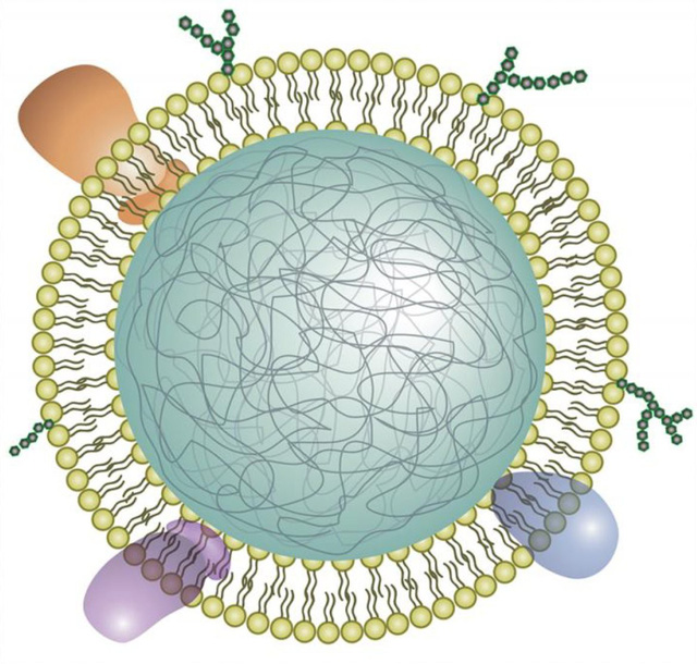 Sẽ có bọt nano giúp giảm viêm khớp? - Ảnh 1.