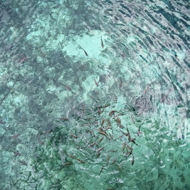 Cebu – nơi rạng rỡ và thú vị nhất Phillipine - Ảnh 9.