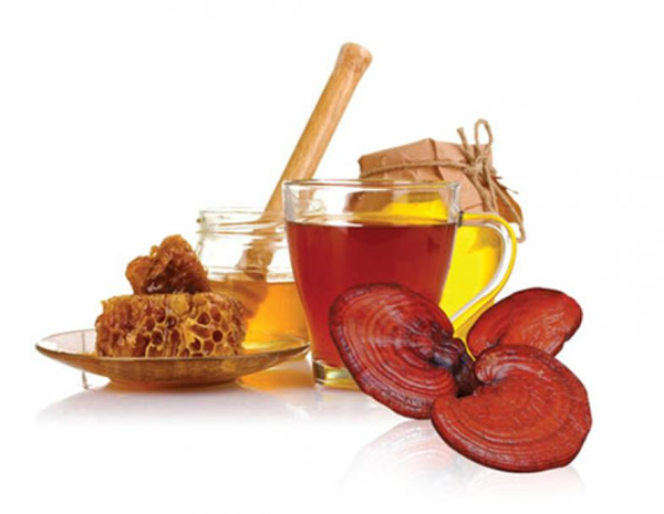 Nấm linh chi – dược liệu quý phòng ngừa nhiều bệnh - Ảnh 5.