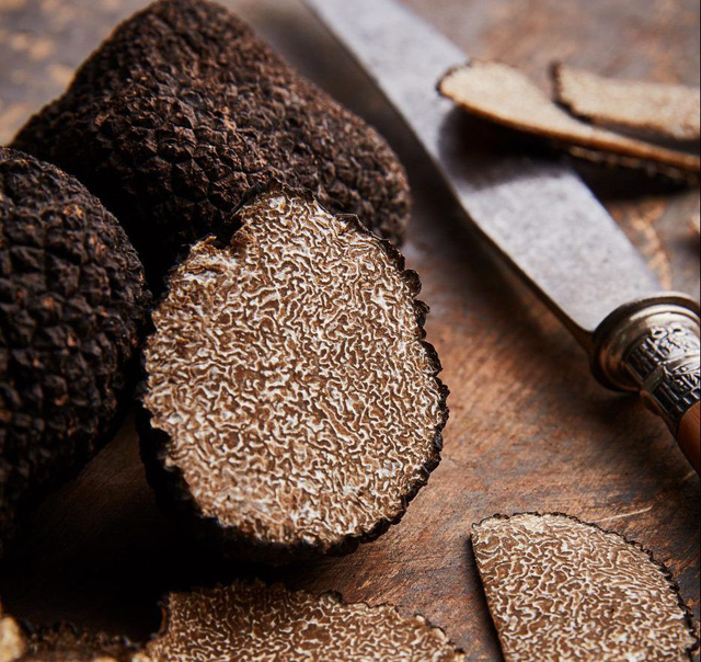 Truffle – loại nấm đắt như kim cương - Ảnh 2.