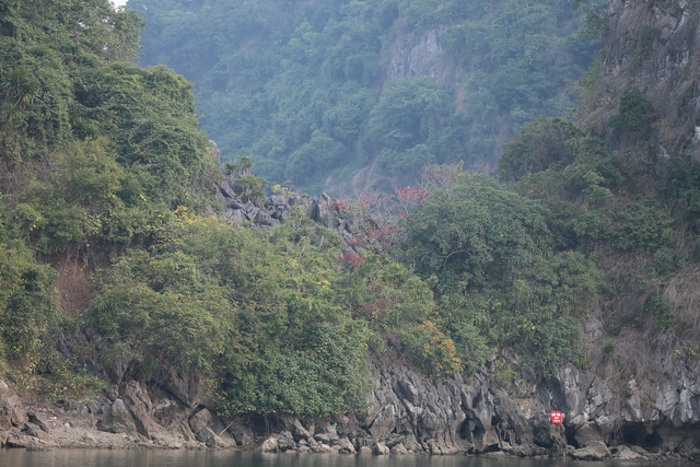 Hành trình khám phá đầy cảm xúc trên Du thuyền Indochine... - Ảnh 11.