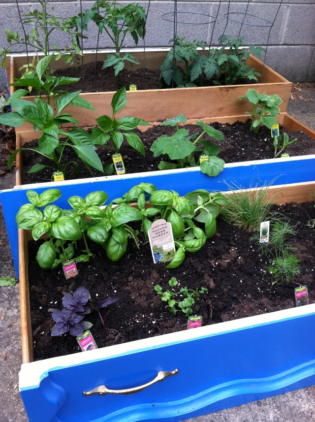 Những khu vườn tái chế rất xinh để đón Tết - Ảnh 10.