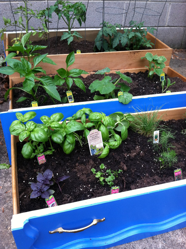 Những khu vườn tái chế rất xinh để đón Tết - Ảnh 10.