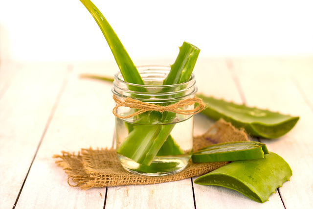 Dưỡng da tại nhà bằng nha đam tươi - Ảnh 1.