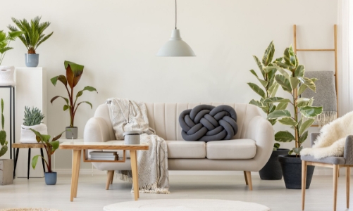 10 mẹo nhỏ để nhà mát mà không cần điều hòa