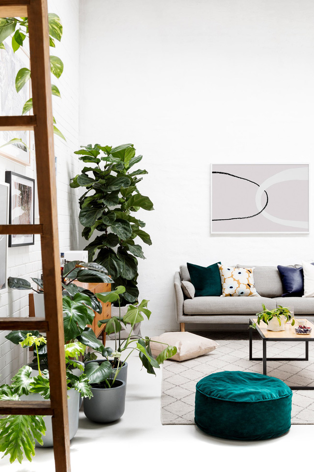 10 mẹo nhỏ để nhà mát mà không cần điều hòa   - Ảnh 4.