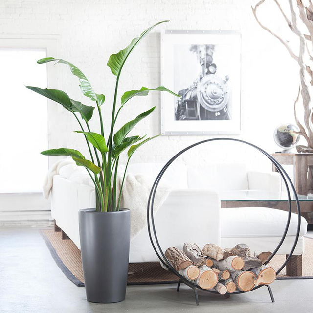 10 mẹo nhỏ để nhà mát mà không cần điều hòa   - Ảnh 5.