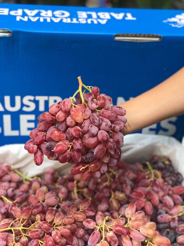 Tranh thủ thưởng thức nho Úc nhập khẩu trước khi hết mùa - Ảnh 2.