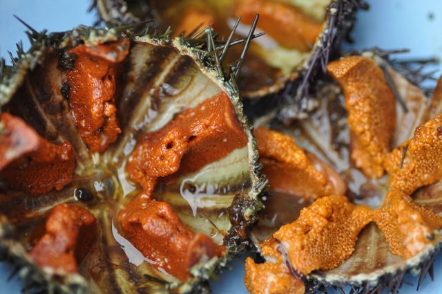 Nhum – món ngon khó cưỡng của biển miền Trung - Ảnh 3.