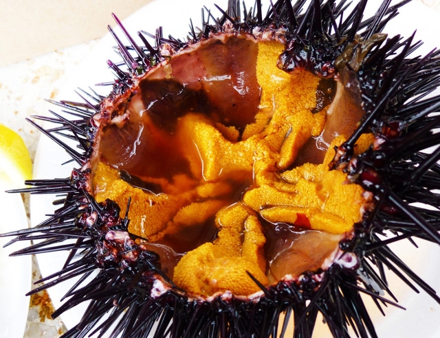 Nhum – món ngon khó cưỡng của biển miền Trung - Ảnh 2.