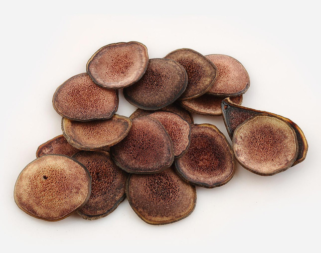 Nhung hươu: không phải ai cũng có thể dùng - Ảnh 2.