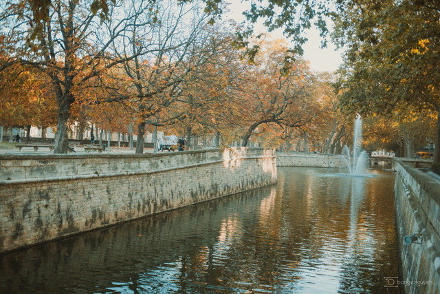 Mùa thu vàng mơ mộng ở Nîmes - Ảnh 20.
