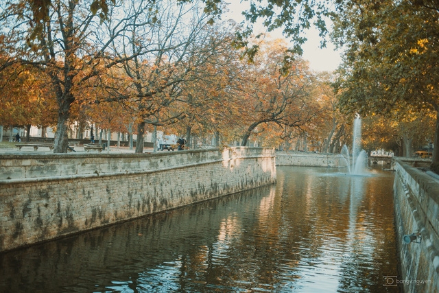 Mùa thu vàng mơ mộng ở Nîmes - Ảnh 20.