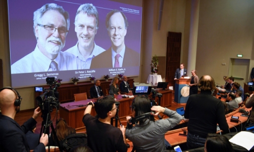 Giải Nobel Y học 2019 đã có chủ