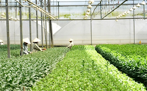 Lãi suất cho vay tối đa đối với các dự án vay là 7%/năm đối với ngắn 
hạn, trung hạn là 10%/năm và dài hạn là 10,5%/năm. Thời hạn cho vay do 
ngân hàng thương mại và khách hàng thỏa thuận, phù hợp với mục đích sử 
dụng vốn vay và quy định của pháp luật.