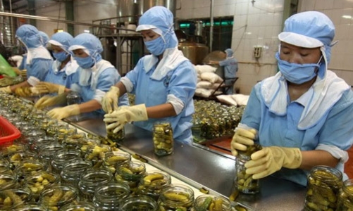 Khi tín dụng qua thời “Em mang tiền Chính phủ”