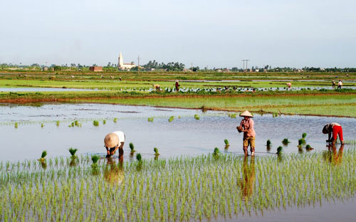  Chính phủ nhận định, việc thực hiện chính sách ổn định dân cư vẫn còn nhiều bất cập.