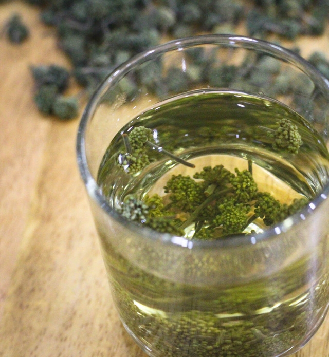 Nụ hoa tam thất giúp hạ huyết áp hiệu quả - Ảnh 3.