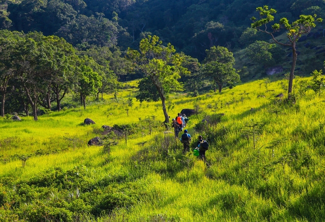 8 địa điểm để bạn làm quen với trekking tại Việt Nam - Ảnh 15.