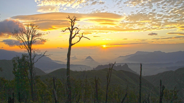 Bạch Mộc Lương Tử: hành trình săn mây và hái sao - Ảnh 8.
