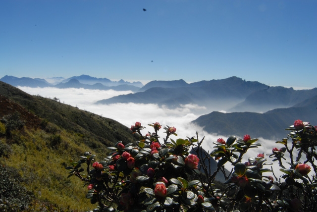 Bạch Mộc Lương Tử: hành trình săn mây và hái sao - Ảnh 4.