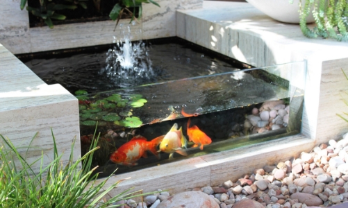 Năm mới đưa nước vào nhà