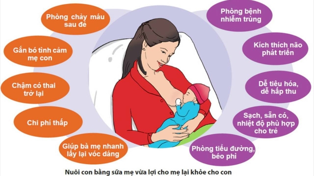 Tuần lễ thế giới nuôi con bằng sữa mẹ 2017 - Ảnh 1.