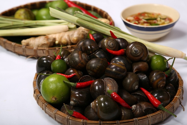 Mùa ốc ngon đã đến: cân nhắc trước khi ăn - Ảnh 1.