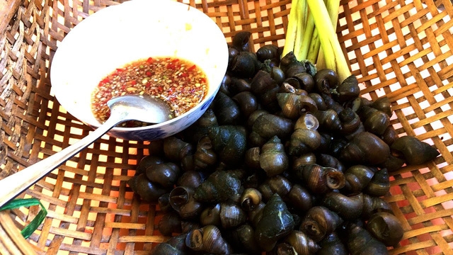 Mùa ốc ngon đã đến: cân nhắc trước khi ăn - Ảnh 2.