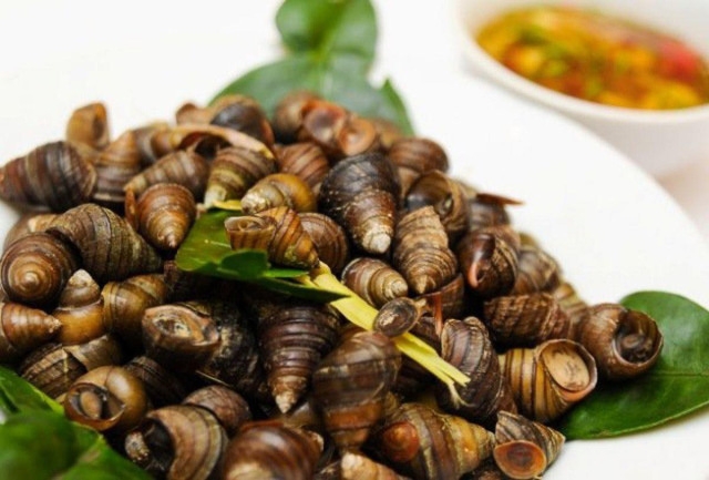 Mùa ốc ngon đã đến: cân nhắc trước khi ăn - Ảnh 3.