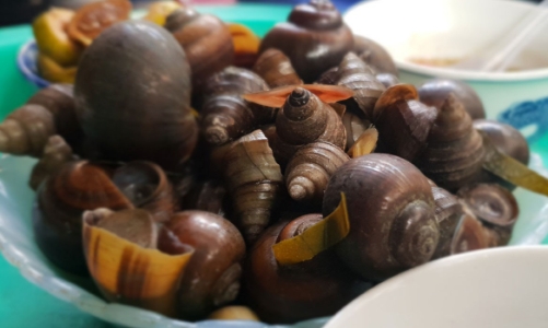 Mùa ốc ngon đã đến: cân nhắc trước khi ăn