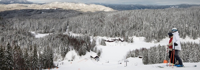 Oslo - không chỉ có mùa đông và cá trích - Ảnh 11.