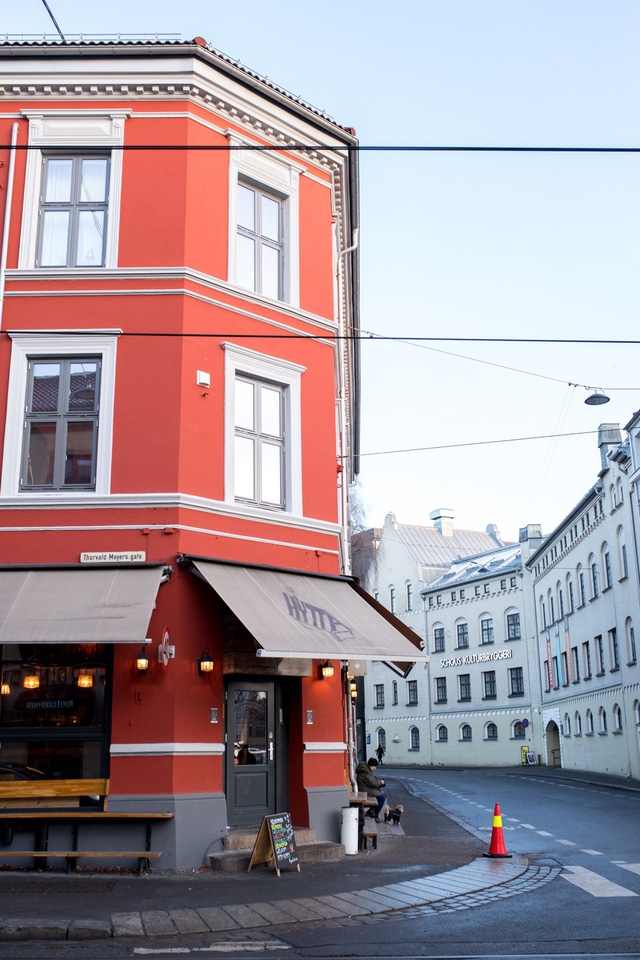 Oslo - không chỉ có mùa đông và cá trích - Ảnh 4.