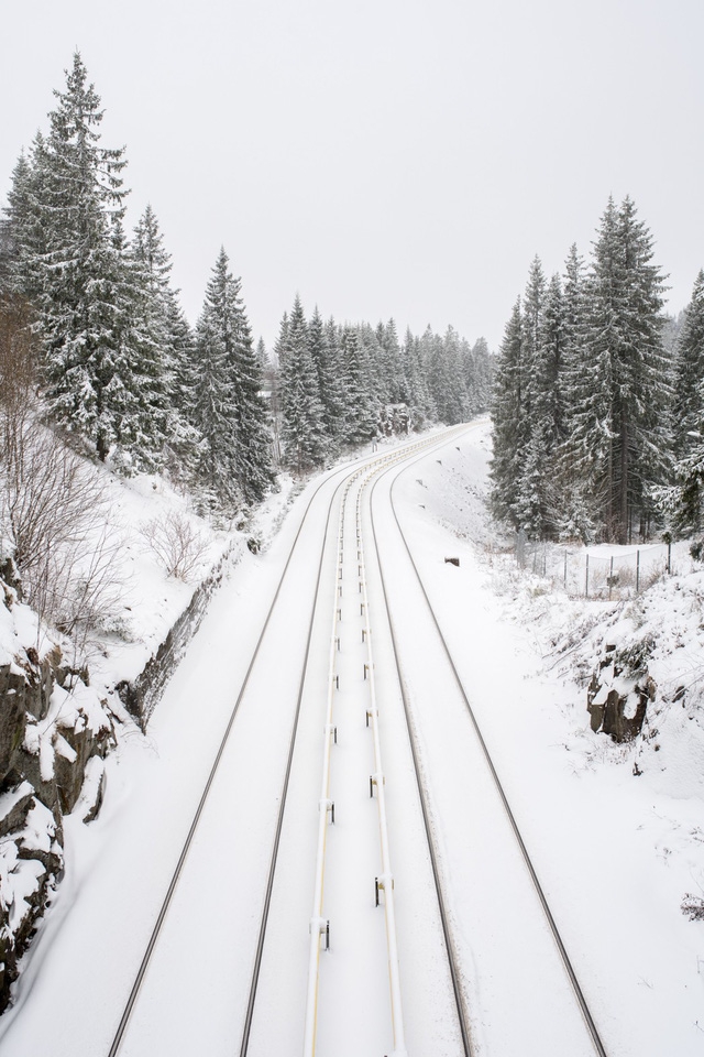 Oslo - không chỉ có mùa đông và cá trích - Ảnh 6.