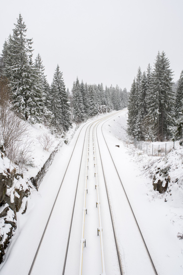 Oslo - không chỉ có mùa đông và cá trích - Ảnh 6.