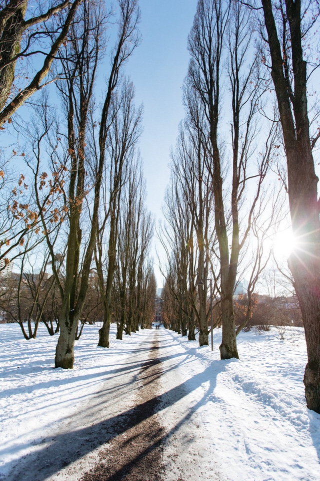 Oslo - không chỉ có mùa đông và cá trích - Ảnh 8.