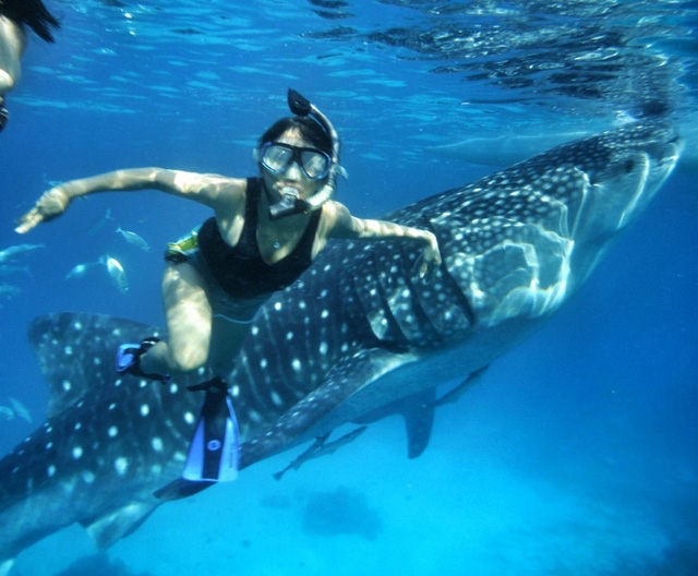 Cebu – nơi rạng rỡ và thú vị nhất Phillipine - Ảnh 4.