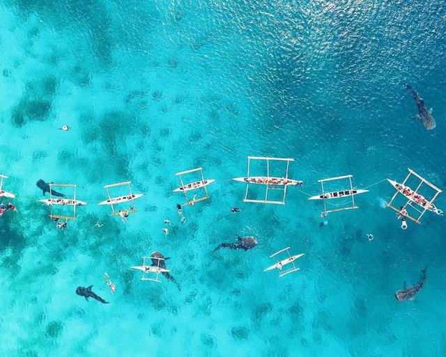 Cebu – nơi rạng rỡ và thú vị nhất Phillipine - Ảnh 5.