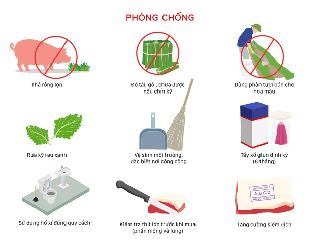 Các biện pháp phòng và điều trị bệnh sán dây lợn - Ảnh 2.