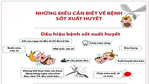 Ngăn ngừa biến chứng sốt xuất huyết: lời khuyên từ chuyên gia - Ảnh 1.