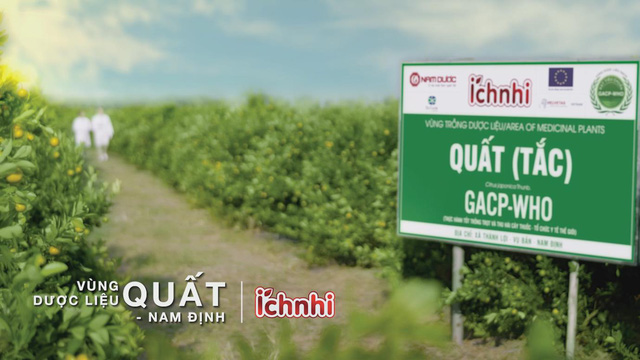 Nam Dược: từ dược liệu chuẩn hóa đến sản phẩm hiệu quả cao - Ảnh 1.