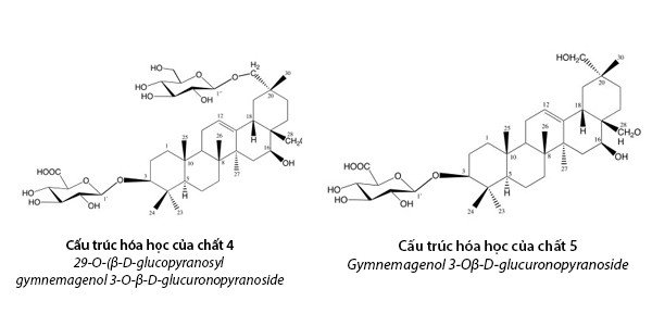 Tìm ra 2 hoạt chất mới giúp hạ đường huyết mạnh - Ảnh 2.