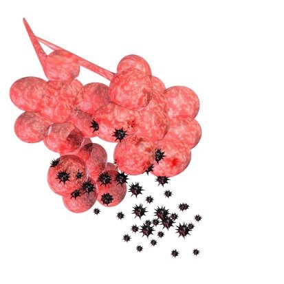 Vì sao gọi bụi mịn PM2.5 là sát thủ thầm lặng? - Ảnh 1.