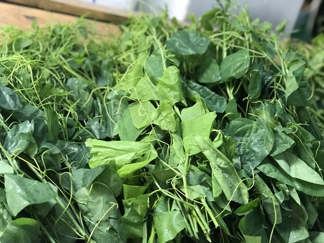 Rau rừng về phố và đắt khách - Ảnh 1.