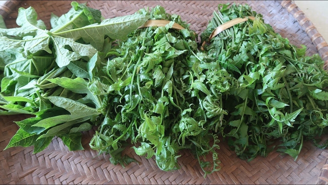 Rau rừng về phố và đắt khách - Ảnh 2.