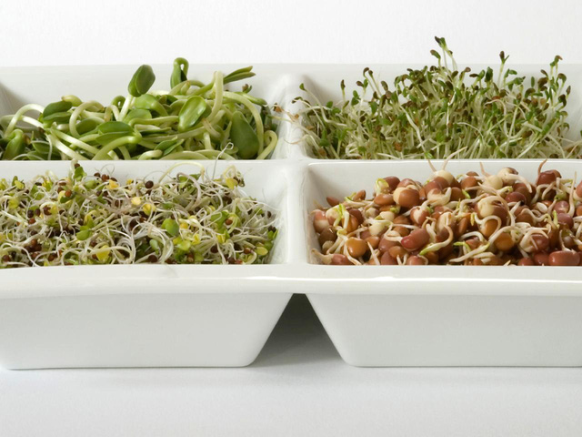 Vì sao nên thường xuyên ăn rau mầm? - Ảnh 1.