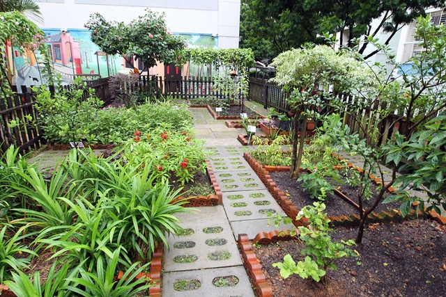 Xu hướng vườn rau cộng đồng tại Singapore - Ảnh 7.