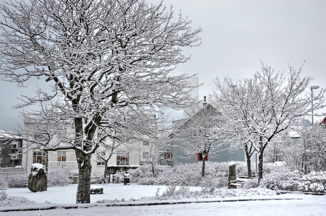Giáng sinh như trong phim tại Reykjavik - Ảnh 2.
