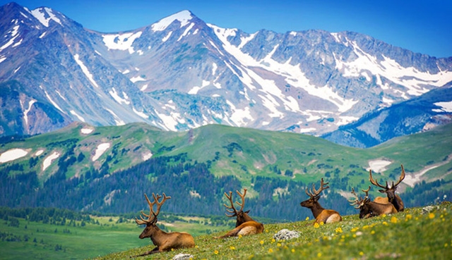 Ngắm mùa thu kỳ diệu trên đỉnh Rocky Mountain - Ảnh 1.